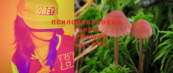 ешки Строитель